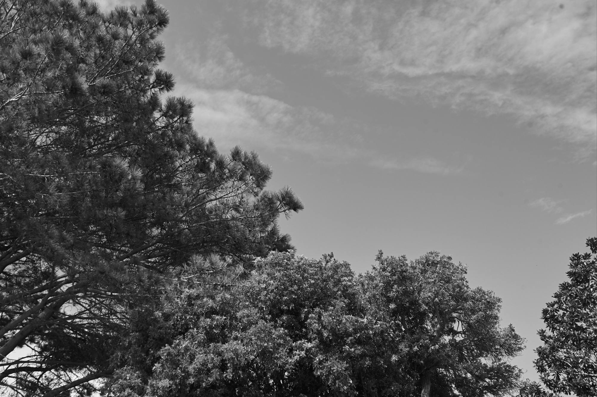 Featured photograph by Henry Holt