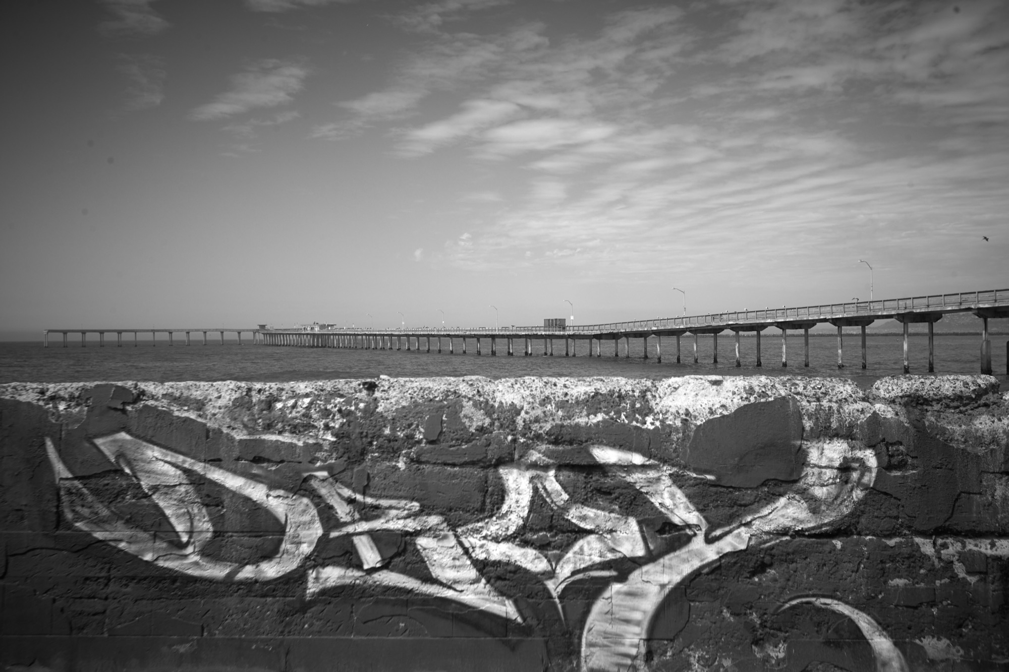 Ocean Beach - Image 20