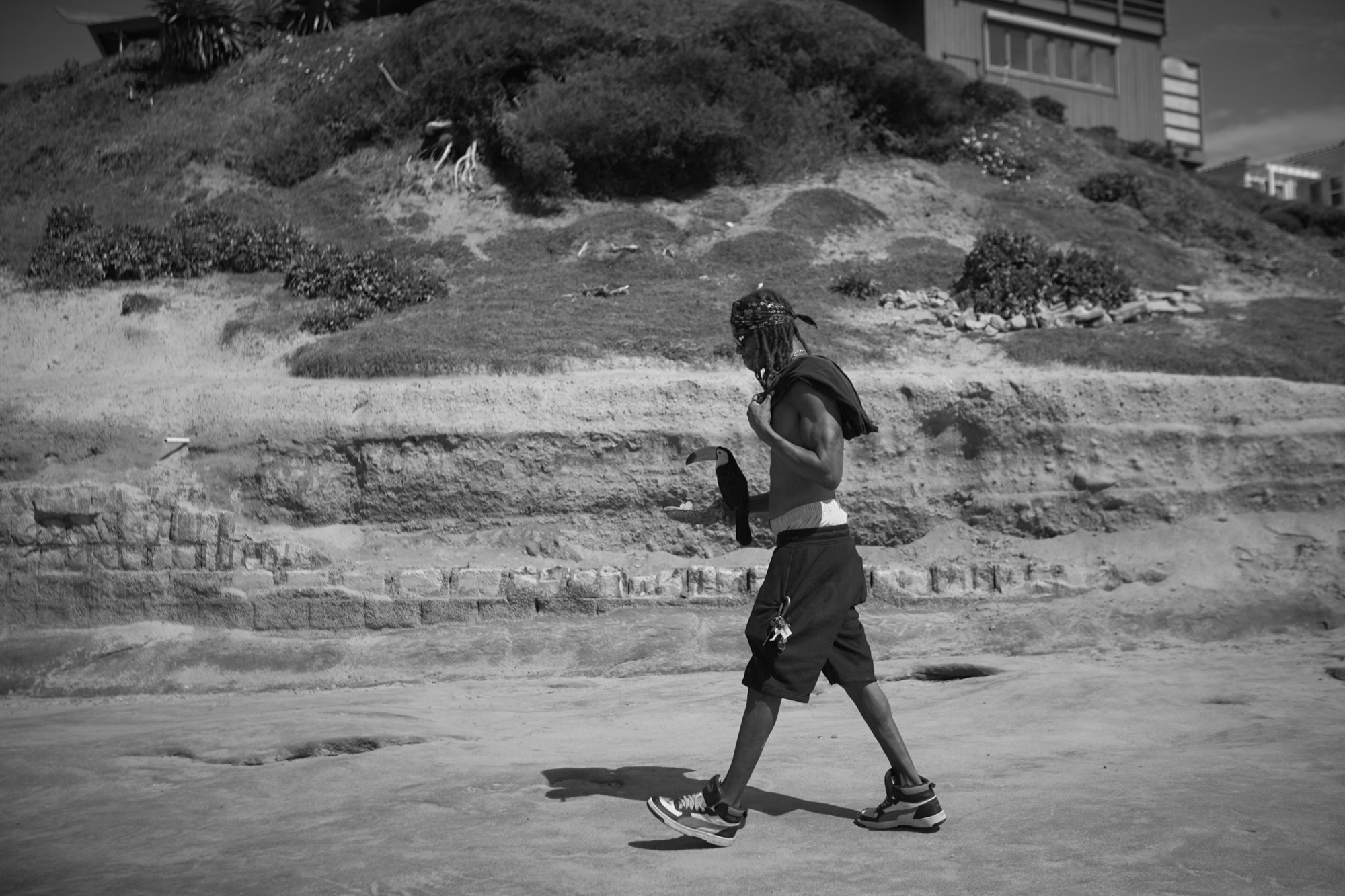 Ocean Beach - Image 32