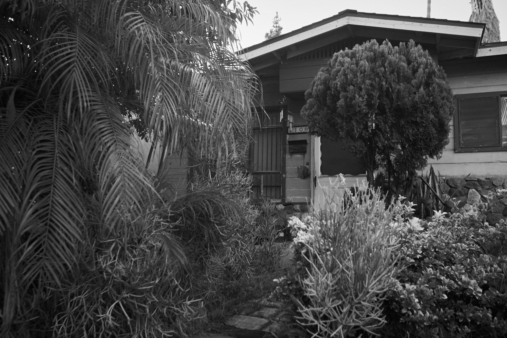 Ocean Beach - Image 38