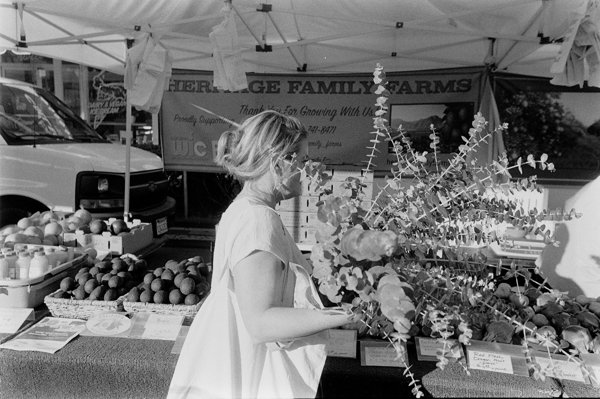 Where We Drift - Image 3