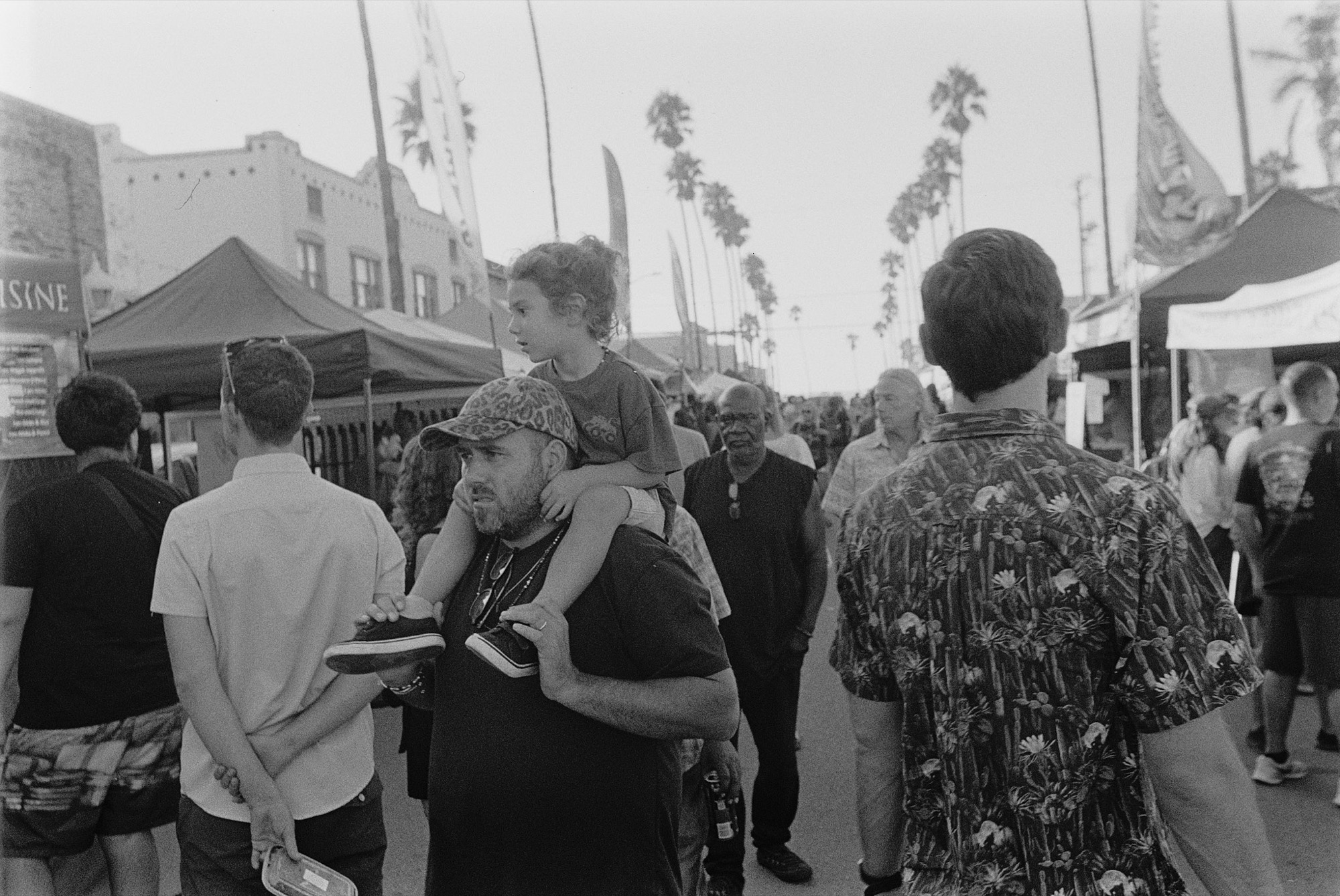 Where We Drift - Image 4