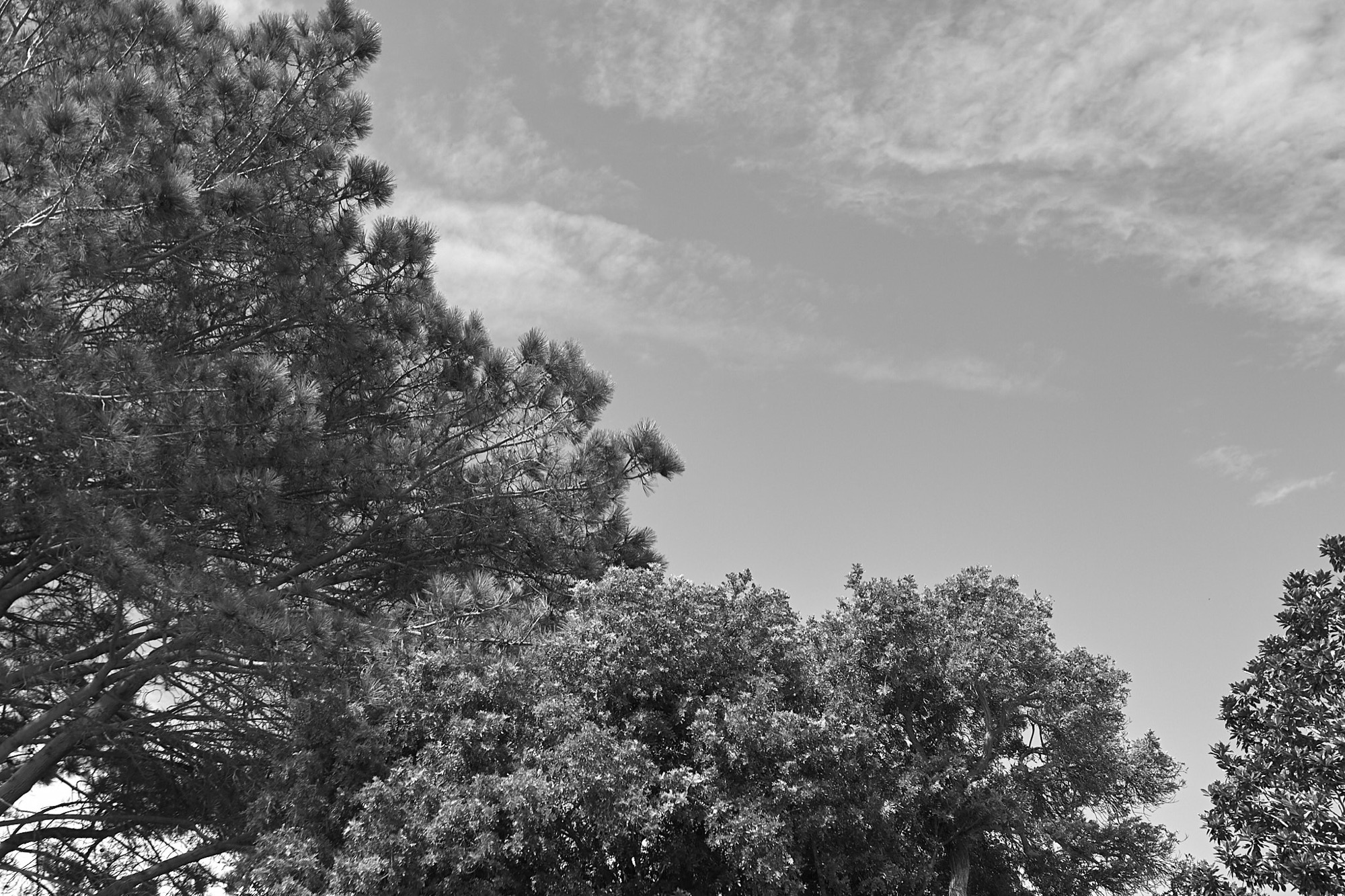 Where We Drift - Image 21